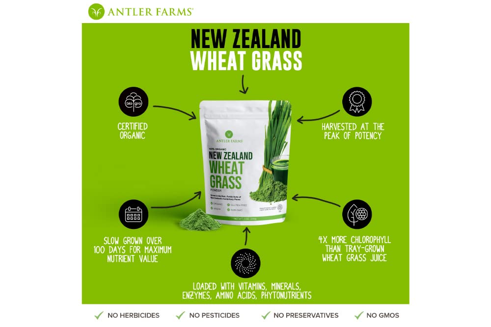 Antler Farms - 100% Pure, Organic, New Zealand Wheatgrass Powder, 40 Servings, 200g - Raw, Vegan, Gluten Free, Nutrient Rich, High Chlorophyll Wheat Grass, Detox, Essential Amino Acids, Minerals