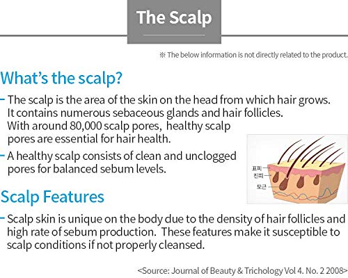 Scalp Care 2 Set_Shampoo & Conditioner_An Ayurvedic herbs to cleanse and revitalize the scalp_AB