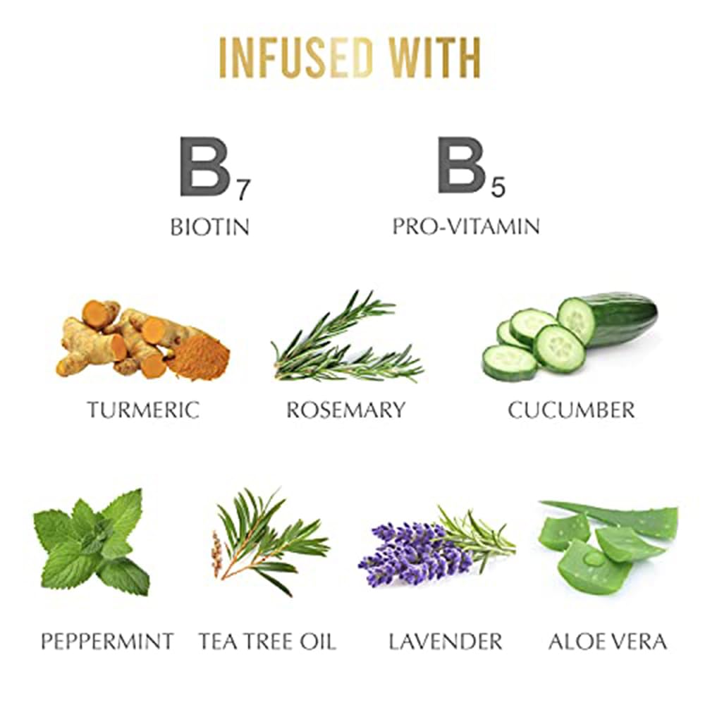 Hairtamin Biotin Hair Growth Shampoo, Promotes Healthy Growing Hair and Strength with Hydrating Vitamin Rich Formula in this Sulfate Shampoo, Made With Vitamin B5, Cucumber Extract, Aloe Vera