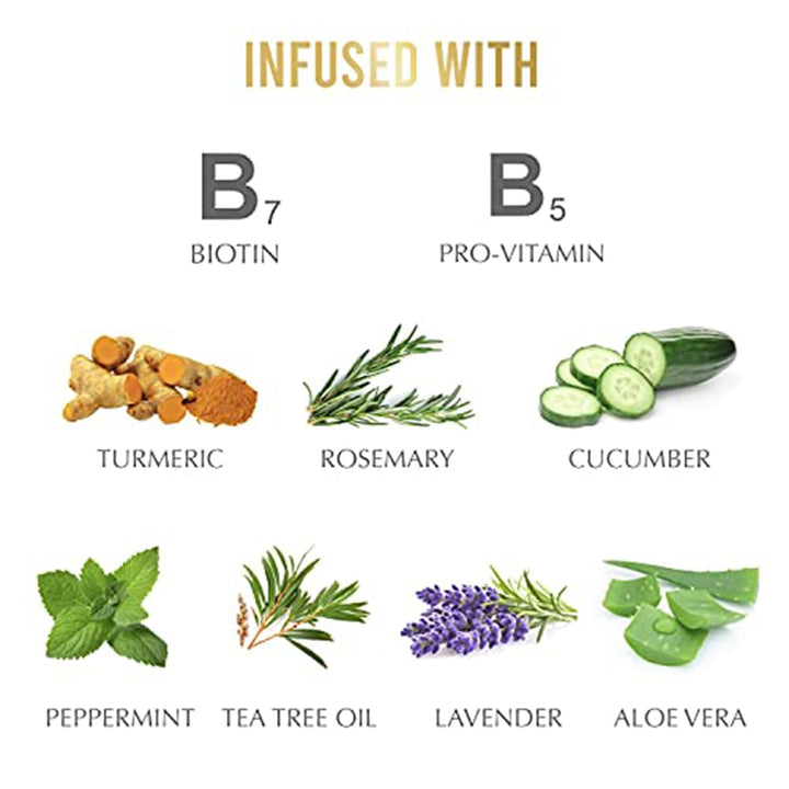 Hairtamin Biotin Hair Growth Shampoo, Promotes Healthy Growing Hair and Strength with Hydrating Vitamin Rich Formula in this Sulfate Shampoo, Made With Vitamin B5, Cucumber Extract, Aloe Vera