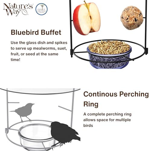 Nature's Way BBFM1 Bluebird Buffet Metal Bird Feeder with Protective Baffle, Outdoor Wild Bird Feeder and Décor, One Glass Dish with 3/4 Cup capacity, Blue