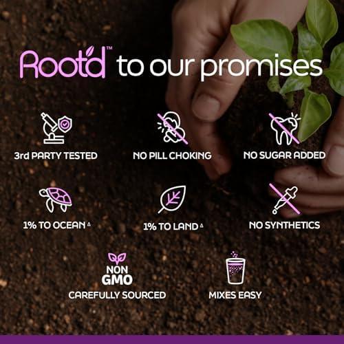 Root'd Prenatal Multivitamin Powder - 25 Vitamins & Minerals with 3X Electrolytes, Folate, Iron, D3 for Mom & Baby, 7 Superfoods & Probiotics, Sugar-Free Vitamins & Hydration | 24 Packets