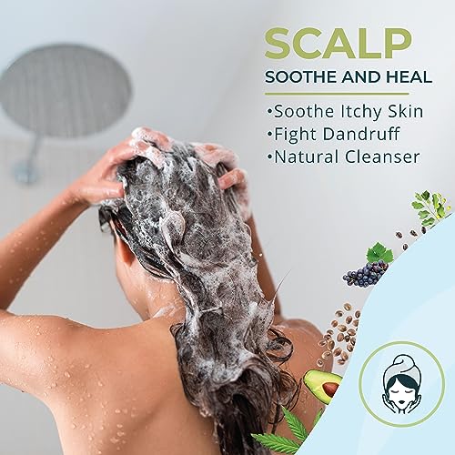 Zatural Neem Shampoo & Conditioner Natural Healing, Moisturizing, & Soothing Kit Protiect Sensative Saclp & Hair (8oz Shampoo & 8oz Conditioner)