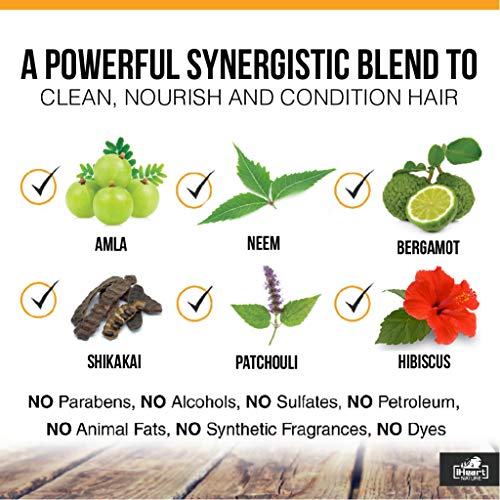 Organic Shampoo Bar (Packed with Neem Amla Shikakai Hibiscus) Made in USA (Natural Herbal Clarifying Surfactant Free) Ayurvedic Handmade Aromatherapy (Citrus)