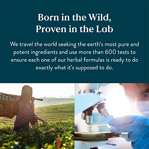 Nature's Sunshine Prenatal, 120 Tablets | Prenatal Vitamin Provides a Combination of Vitamins and Minerals to Support the Nutritional Needs of Both Mother and Child