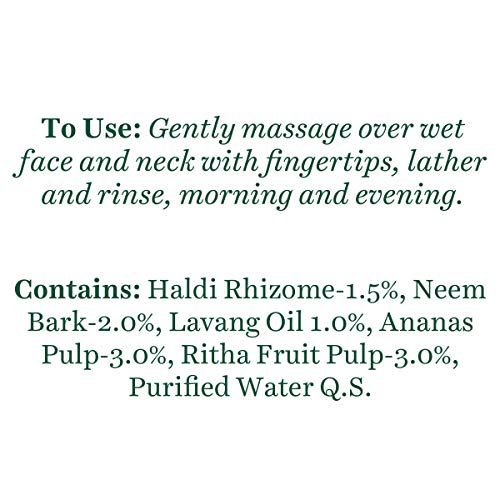 Biotique Pineapple Fruit Enzyme Cleanser (Combo/Oily Skin) 120 ml