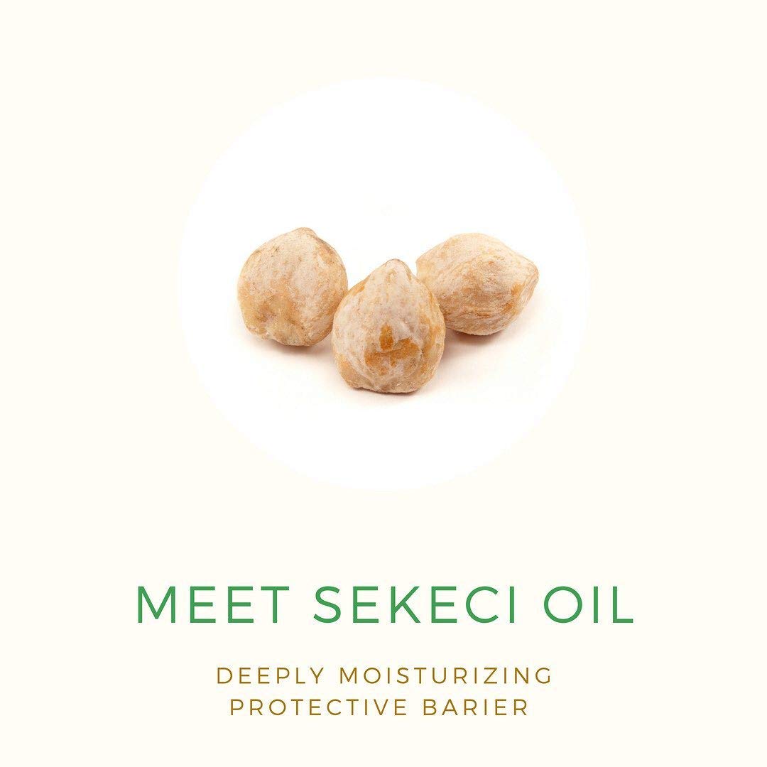 PURE FIJI Dilo and Aloe Vera After Sun Spray Lotion - Spray Moisturizer for Body Helps After Sunburn- After Sun Moisturizing Spray for All Type Skin, 8 oz