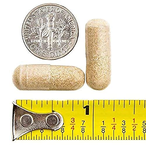 BariatricPal Multivitamin ONE 1 per Day! Bariatric Multivitamin Capsule with 18mg Iron (90 Count)