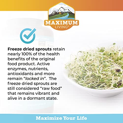 Maximum Living - Vita-Sprout Whole-Food Multivitamin & Phytonutrient Blend - 120 Capsules