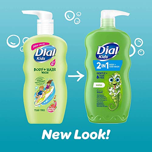 Dial Kids 2-in-1 Body+Hair Wash, Melon Scent, 24 fl oz (Pack of 4)
