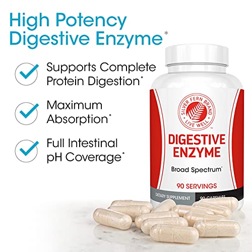Silver Fern Brand Ultimate Digestive Enzyme Supplement - 1 Bottle = 90 Capsules - High Potency, Multi Enzyme - Digestive Comfort & Food Tolerance - Hemicullulase, Peptidase, Maltase, More