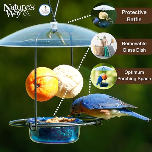 Nature's Way BBFM1 Bluebird Buffet Metal Bird Feeder with Protective Baffle, Outdoor Wild Bird Feeder and Décor, One Glass Dish with 3/4 Cup capacity, Blue