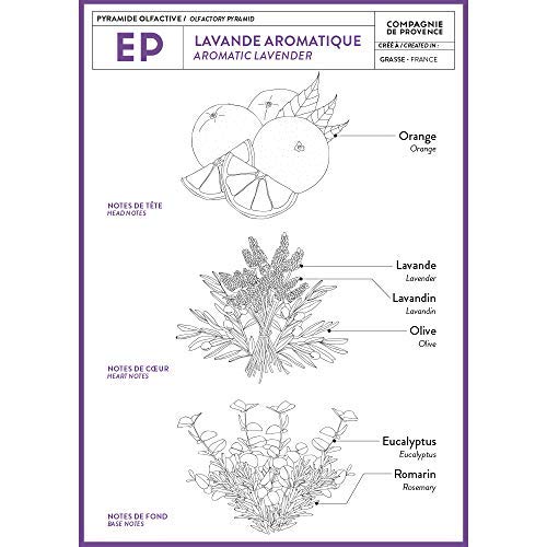 Aromatic Lavender 169 Fl Oz Compagnie De Provence Liquid Soap Aromatic Lave