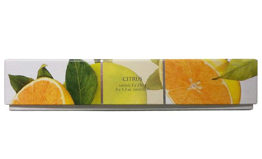 La Florentina: Agrumi di Boboli Bar Soaps, Citrus Scent, Bellosguardo Collection - Pack of 3 Soaps, 5.3 Ounces (150g) Each, Gift Box [ Italian Import ]
