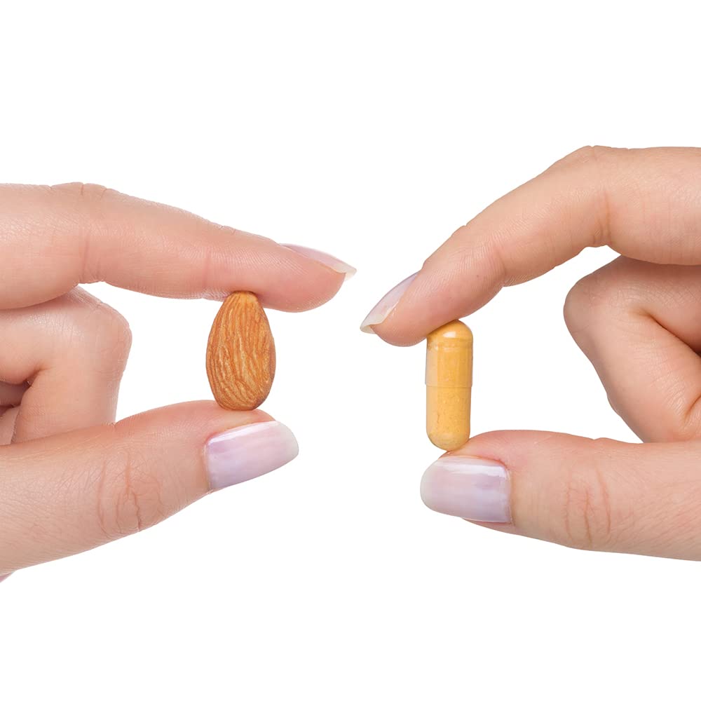 Seeking Health Multivitamin One, 1 a Day Multivitamin Supplement for Adults, Methyl B12 and Methylfolate, Vitamin A, Bioavailable Nutrients for Men and Women, Vegetarian (45 Capsules)