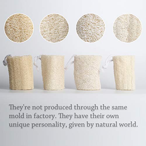 Natural Loofah Exfoliating Body Sponge Scrubber for Skin Care in Bath Spa Shower Pack (5 inch)