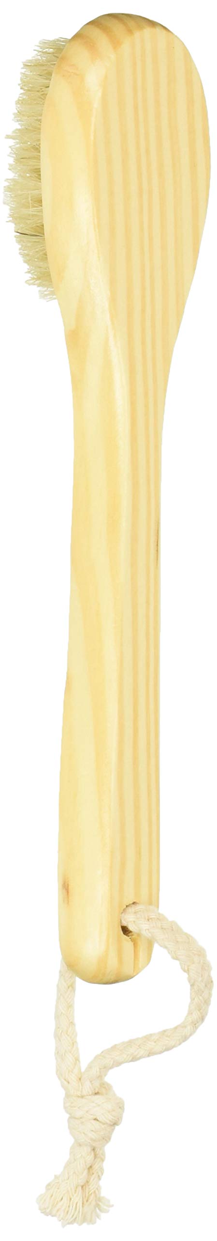 Cedar Complexion Brush 1 Unit