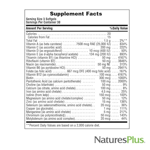 Natures Plus Regeneration Multivitamin - 90 Softgels - with Potent Botanical Extracts, Minerals & Antioxidants - Natural Energy Production & Overall Well-Being - Gluten-Free - 30 Servings
