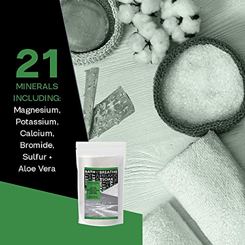 Dead Sea Salt with Organic Aloe Vera, Spa Bath Salts, 19 Lbs Fine Grain Large Bulk resealable Pack, 100% Pure & Natural, Used for Body wash Scrub, Soak for Women & Men for Tired Muscles & Skin Issues…