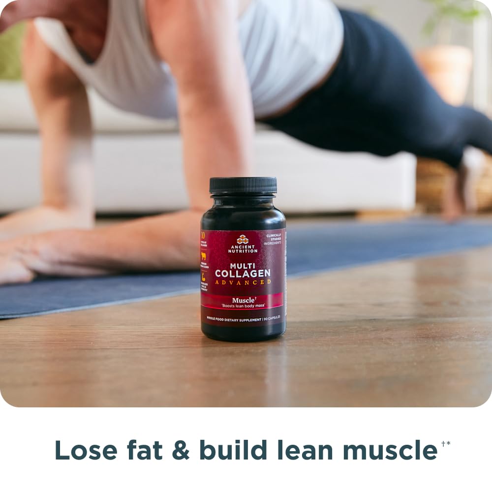 Ancient Nutrition Advanced Collagen Protein Muscle with Probiotics, Hydrolyzed Collagen Peptides Supports Healthy Body Composition* and Muscle Building*, 90 Count