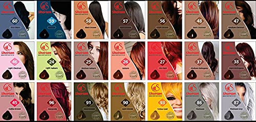 Gentle Japanese Hair Dye Hair Color to Reduce Hair Loss (Black)