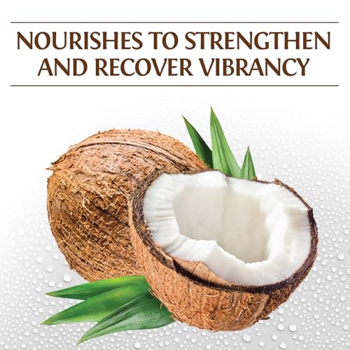 BioSilk Silk Therapy with Natural Coconut Oil Moisturizing Conditioner, Nourishing & Helps Eliminate Frizz, Sulfate, Paraben & Cruelty-Free, 12 Oz