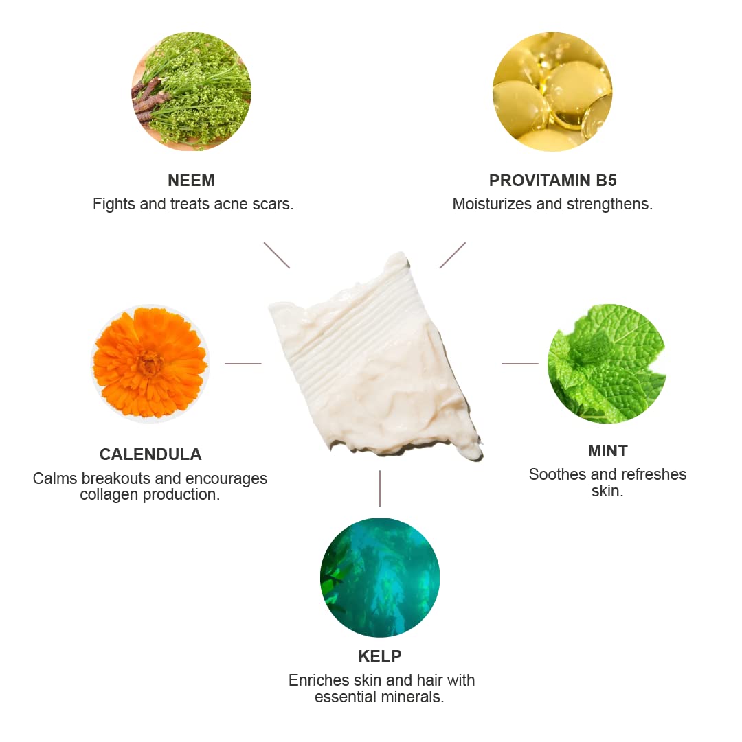 100% PURE Kelp & Mint Volumizing Conditioner Moisturizer & Deep Hydration - Natural Body Boost for Dry, Damaged Thinning Hair, Promotes Healthy Growth for Women & Men - Sulfate Free - 13 Fl Oz