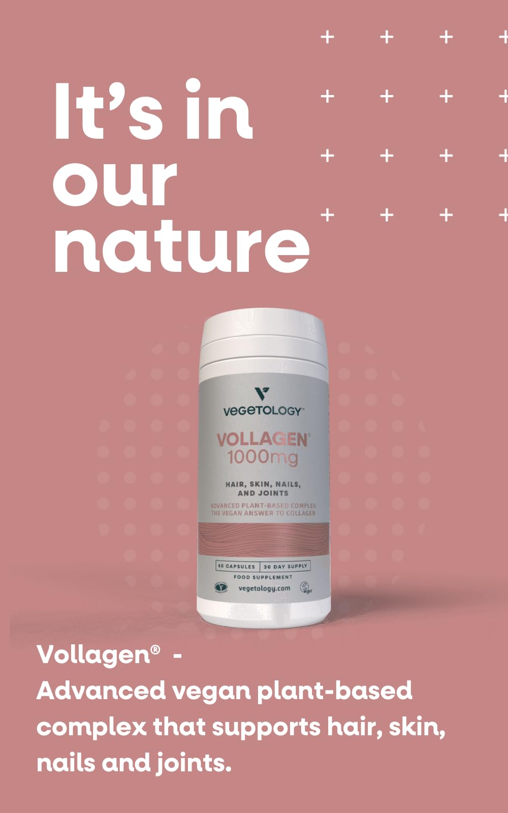 VEGETOLOGY Vollagen Plant Based Complex – Plant Based Protein Alternative to Collagen – Amazing Hair Skin Nails Supplement – Delivers a Complex of Amino Acids (1000 mg - 60 Tablets)