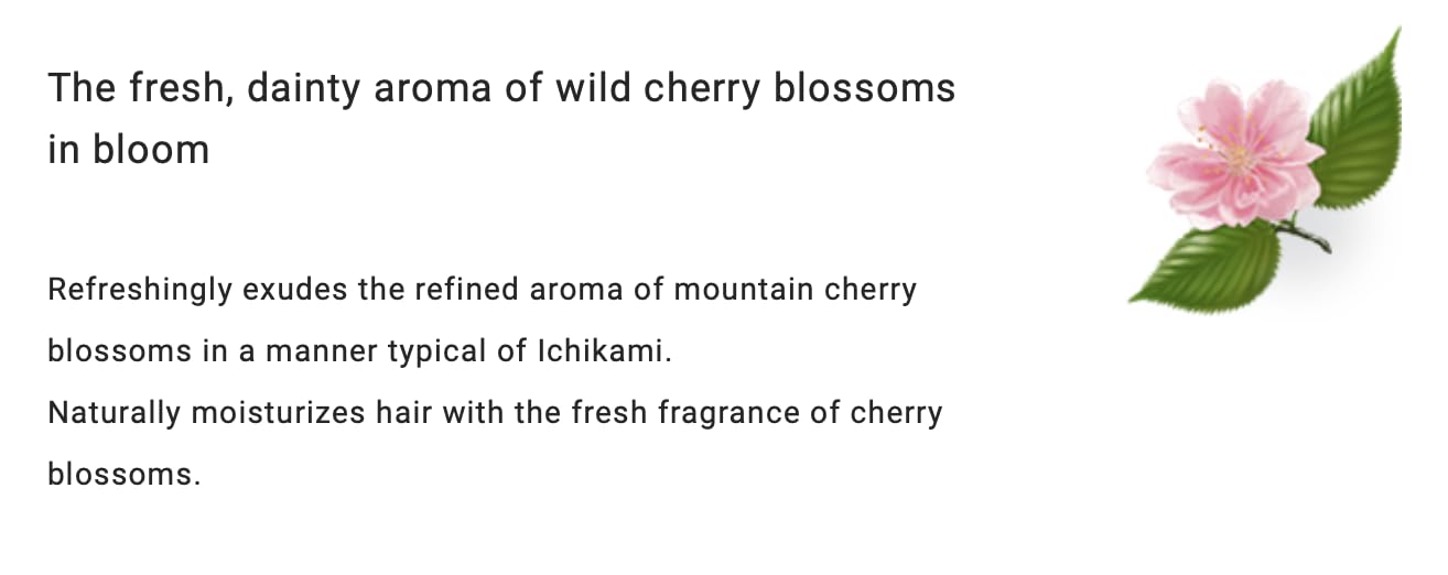 Ichikami Smoothing Shampoo and Conditioner Refill Set, Cherry Blossom Scent, Sulfate-Free, Repairs Dry and Damaged Hair, 330ml Each