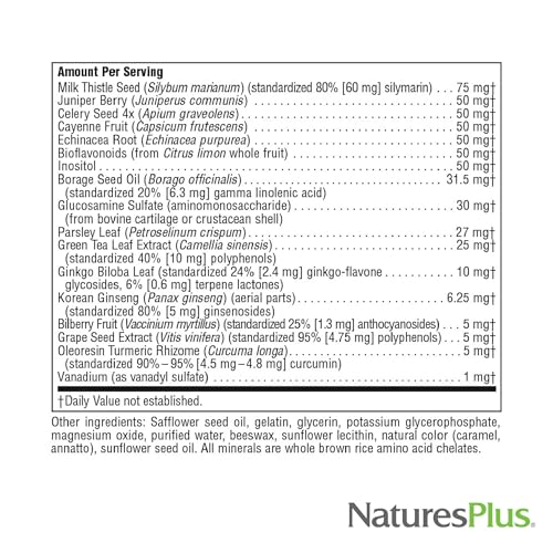 Natures Plus Regeneration Multivitamin - 90 Softgels - with Potent Botanical Extracts, Minerals & Antioxidants - Natural Energy Production & Overall Well-Being - Gluten-Free - 30 Servings