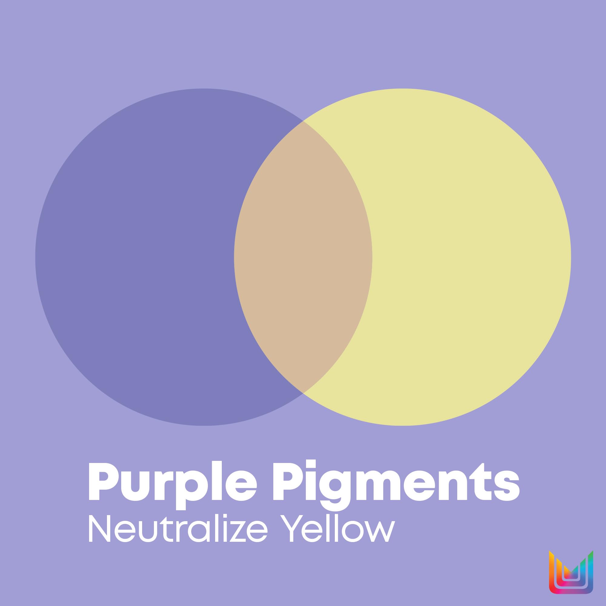 MATRIX So Silver Purple Conditioner | Removes Brassy Yellow Undertones | Color Depositing & Toning | Pigmented Conditioner For Blondes and Greys | For Color Treated Hair | Salon Conditioner | Vegan