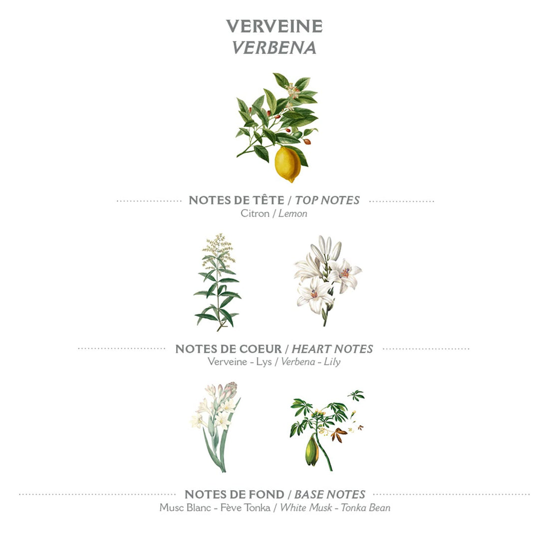 Panier Des Sens -Verbena Essential Oil Mini Hand Cream