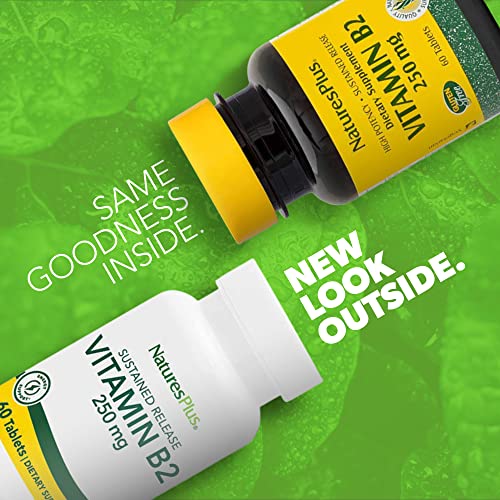 Natures Plus Vitamin B2 (Riboflavin) - 250 mg, 60 Vegetarian Tablets, Sustained Release - Natural Energy & Metabolism Booster, Promotes Overall Health - Gluten-Free - 60 Servings