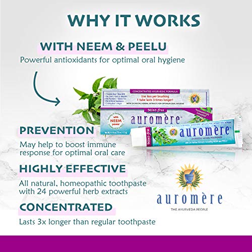 Auromere Ayurvedic Herbal Toothpaste, Mint Free - Vegan, Natural, Non GMO, Fluoride Free, Gluten Free, with Neem & Peelu (4.16 oz), 1 Pack
