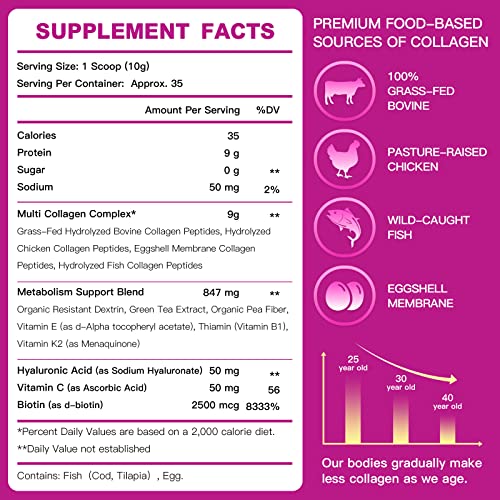 ZEBORA Multi Collagen Peptides Powder - Hydrolyzed Collagen Type I II III V X with Hyaluronic Acid, Biotin, Vitamin C - Support Skin Hair Nail Joints, Non-GMO, Unflavored, Keto Friendly