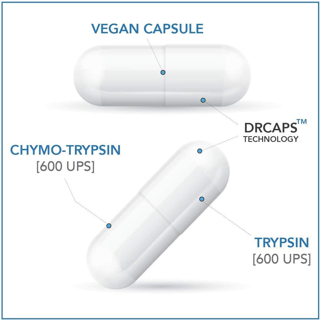 Bruizex Proteolytic Enzymes| Trypsin & Chymotrypsin Recovery Supplement for Tissue Trauma, Bruising, Swelling | Immune System Support | 60 Caps