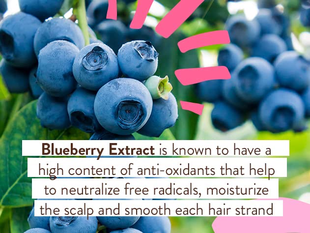 Babo Botanicals Smoothing Conditioner with Evening Primrose Oil, Coconut Oil and Provitamin B5 - For Babies, Kids and Adults with Tangly or Unruly Hair - Vegan