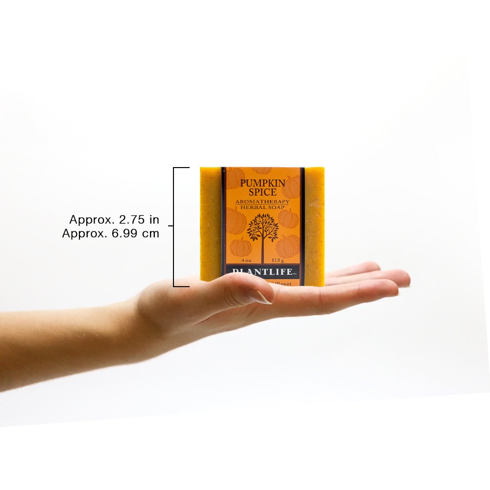 Pumpkin Spice 100% Pure & Natural Aromatherapy Herbal Soap- 4 oz (113g)