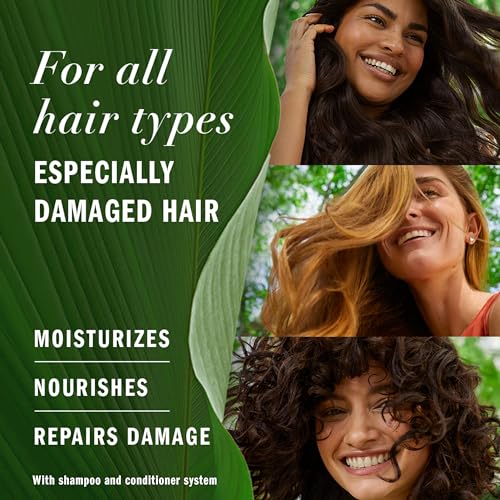 Herbal Essences bio:renew Argan Oil Of Morocco Repairing Color-Safe Conditioner 13.5 fl oz