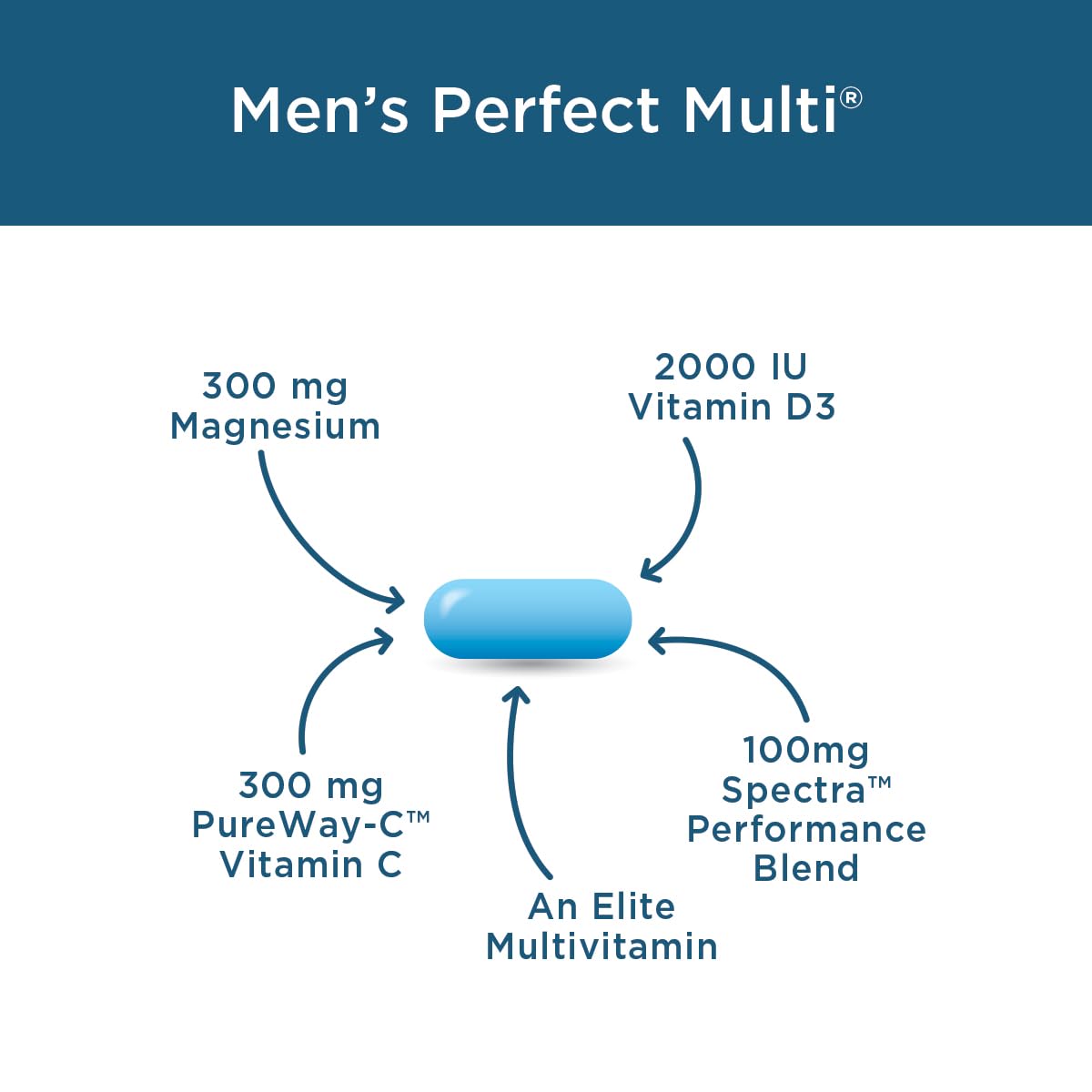 Purity Products Men's Perfect Multi from Vitamins, Minerals and Phytonutrients - Promotes Energy, Vitality and Stamina - Easy to Swallow - 90 Tablets