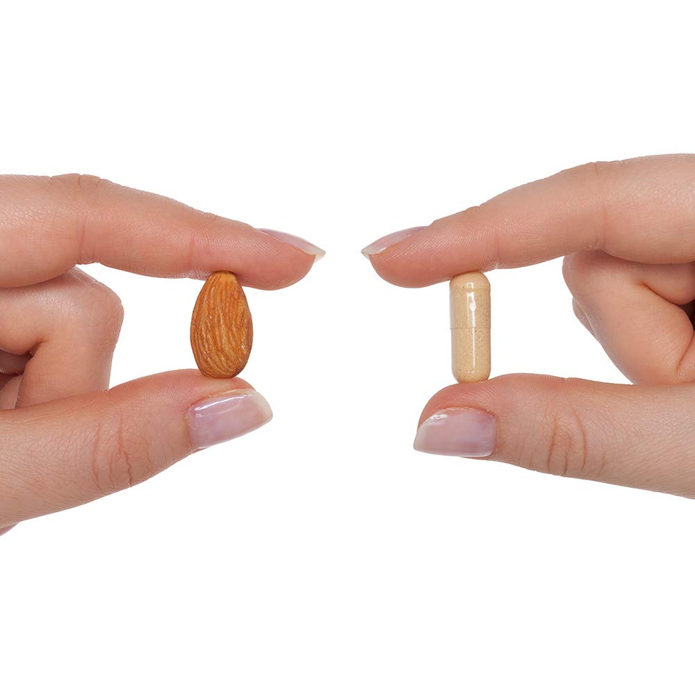 Seeking Health Prenatal Essentials MF - Brain Development & Methylation Support - Methyl-Free Vegetarian Capsules with Selenium, Vitamin B6, Zinc & Vitamin B12-60 Capsules