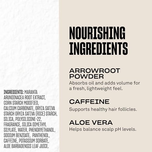 BABE ORIGINAL Root Refresh Dry Shampoo Powder for Clean & Volumized Hair| Instantly Absorb Oil & Odor | Aerosol-Free & Talc-Free | Travel-Friendly | Nourish Scalp with Aloe Vera, Caffeine & Arrowroot