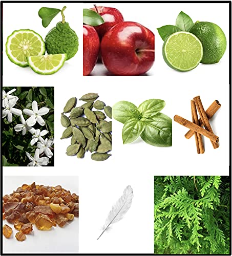 Fila Black Eau De Toilette For Men, 100ml