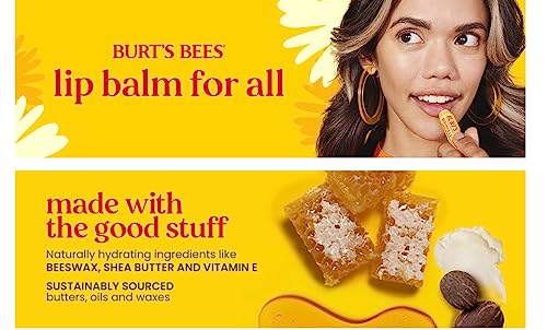 BURTS BEES STRAWBERRY LEMONADE LIP BALM 2 (0.15) TUBES