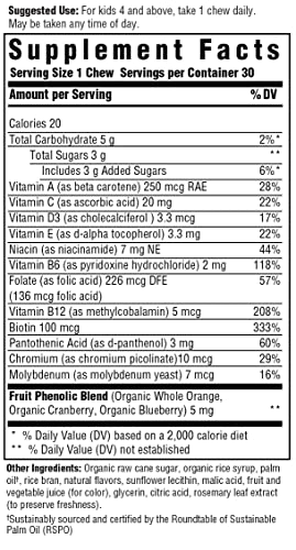 MegaFood Kids One Daily Multivitamin Soft Chews - Kids Vitamins with Vitamin B, Vitamin C, Vitamin D & Vitamin E - Age 4+, Vegetarian, Made Without 9 Food Allergens - Grape Flavor - 30 Chews