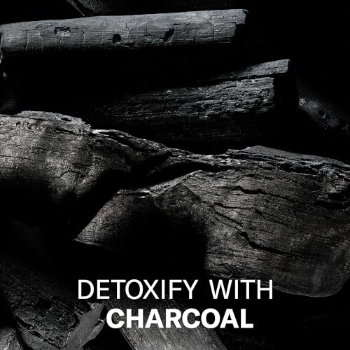 Art of Sport Daily Face Wash, With Detoxifying Charcoal, Calming Aloe Vera & Skin-Soothing Bamboo Extract. Formulated for Athletes, 4 FL OZ