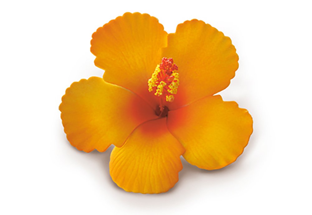 Hibiscus Clip Foam Flower - Orange