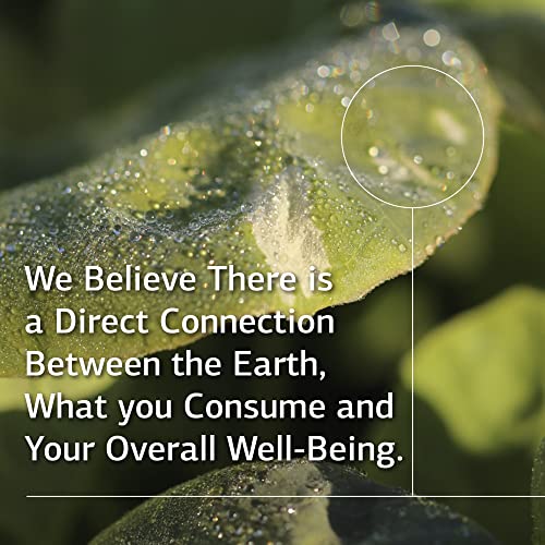 Standard Process Inc. Cataplex B - Whole Food Formula with Niacin, Vitamin B6, Thiamine, and Inositol for Heart Health, Metabolism, and Cholesterol Maintenance - 180 Tablets