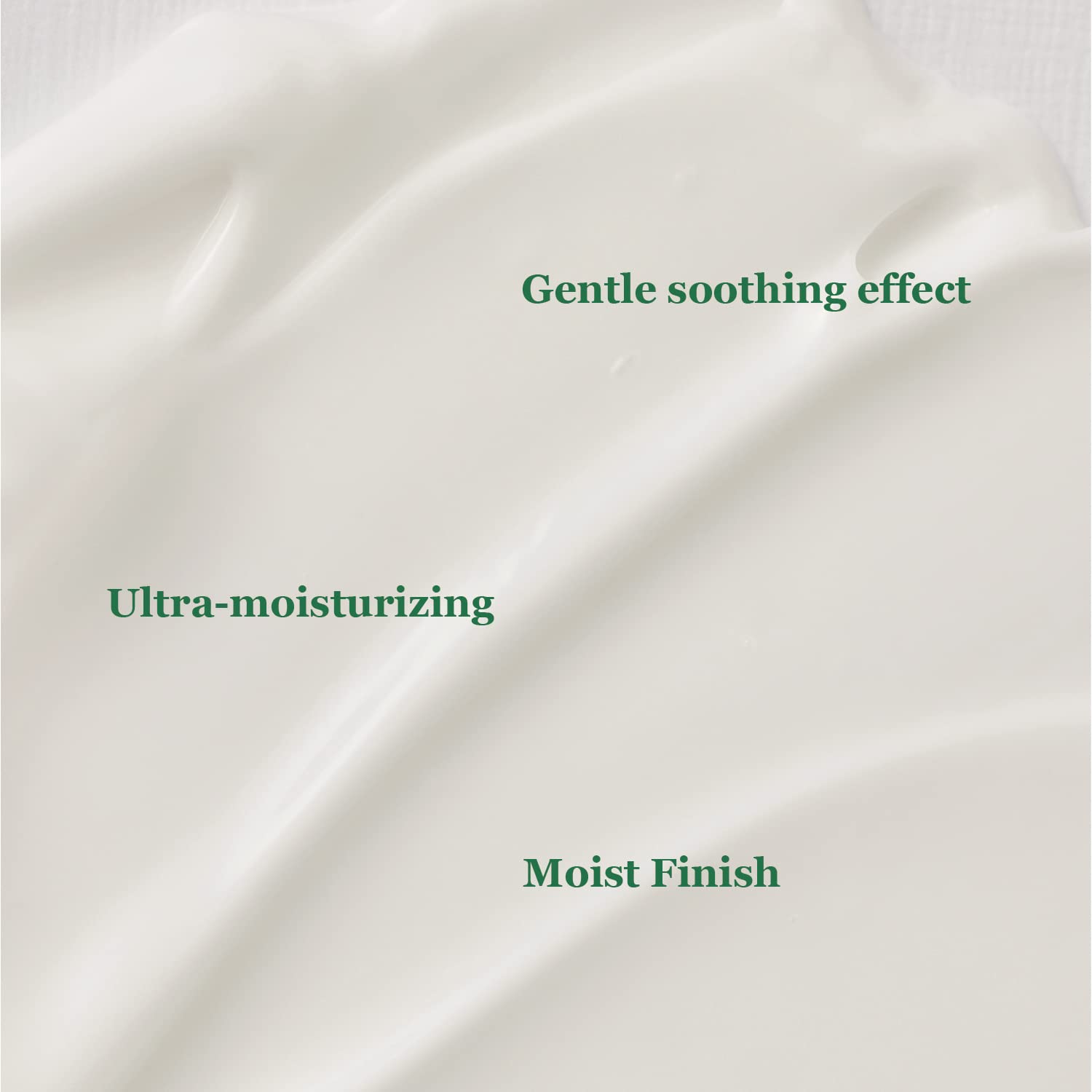 Beauty of Joseon Pine Grove : Body Cream (400ml, 13.5 fl.oz)