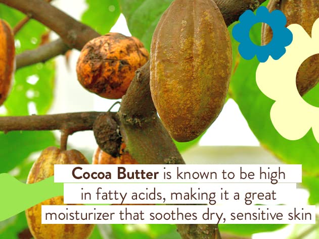 Babo Botanicals Sheer Zinc Mineral Sunscreen Sport Stick SPF30- Natural Zinc Oxide- Shea Butter- Fragrance-Free - Water Resistant - MADE SAFE Certified